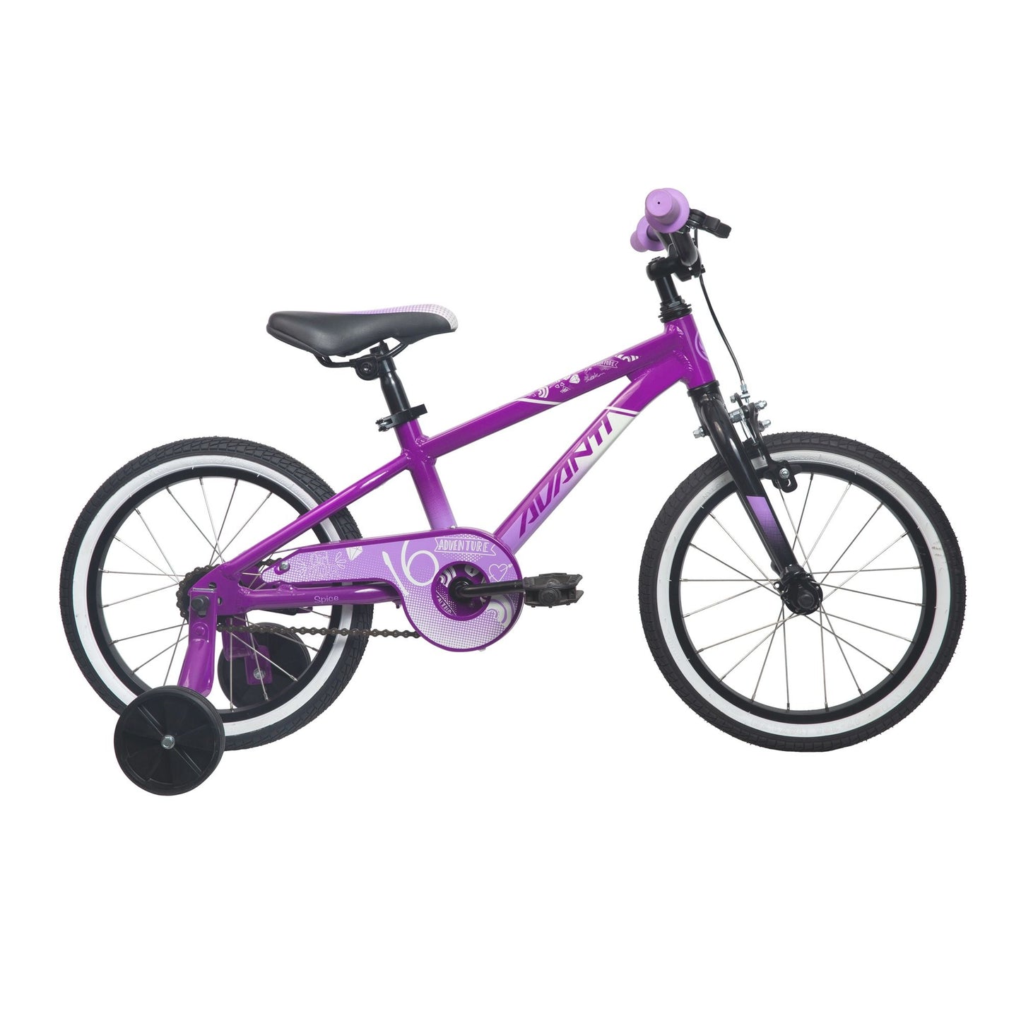 Avanti Spice 16 Purple