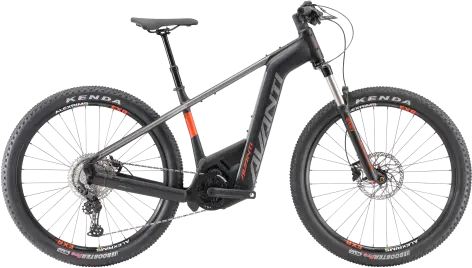 Avanti Competitor-E2 – Moronis Bikes Bendigo