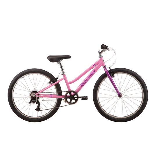 Malvern Star Roxy 24" Pink/Purple