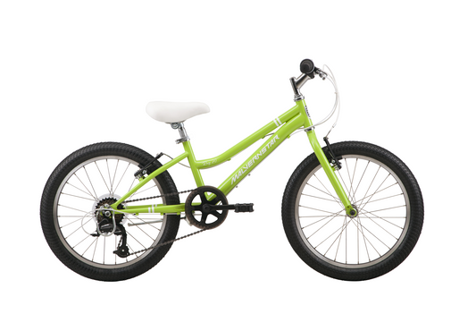 Malvern Star Roxy 20 Apple Green