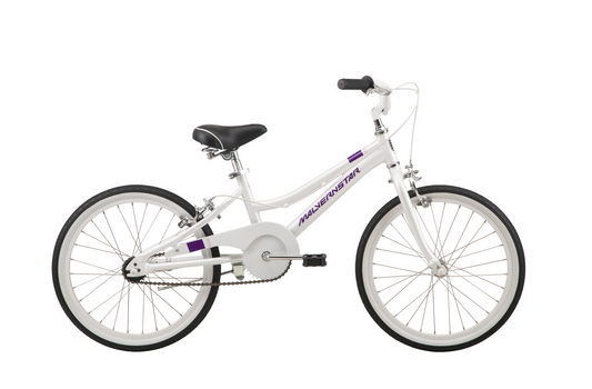 Malvern Star Cruisestar SL 20 White