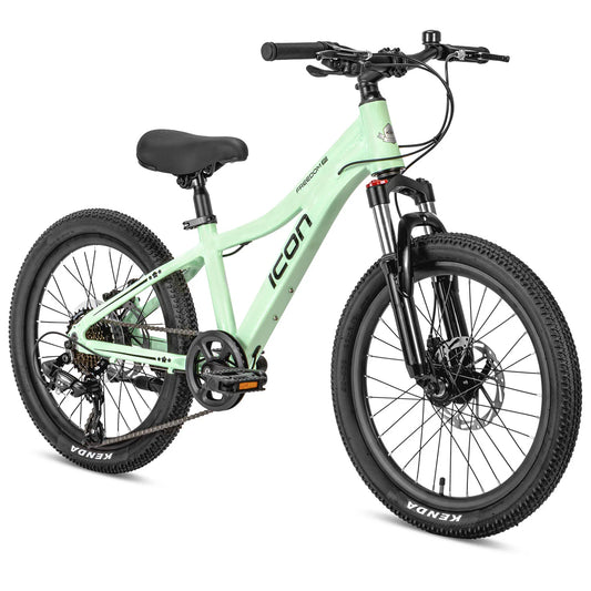 Icon Freedom 20" MTB Mint